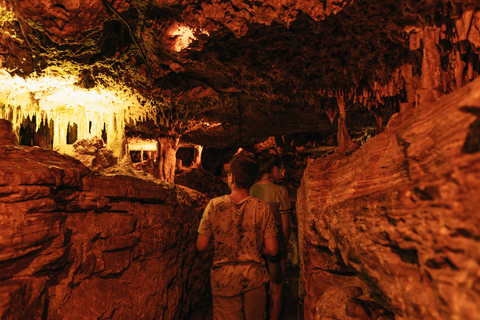 Porto Cristo: Inträdesbiljett till Cuevas dels HamsMallorca: Besök till Cuevas dels Hams