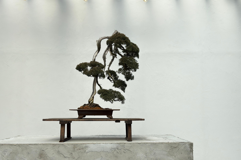 Nagoya: Private Bonsai Workshop with Master Ajisawa Masterpiece Bonsai Experience (1 hour)