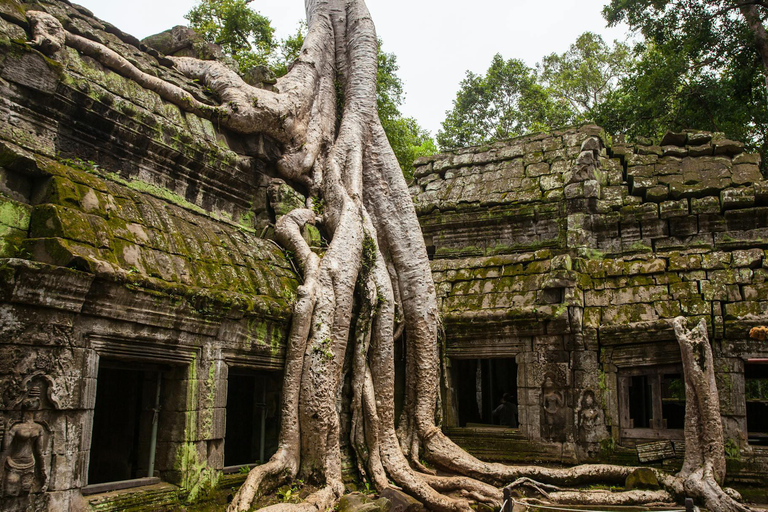 Angkor Wat Privat tur med Tuk-Tuk