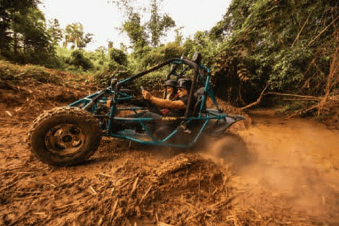 Toa Alta, PR : Aventure en buggy tout-terrain ( ATV )