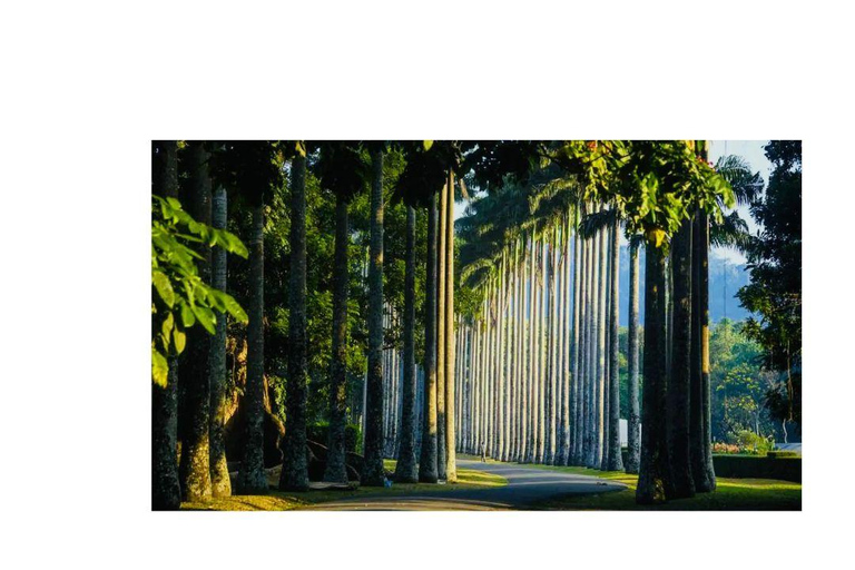 Kandy : All Inclusive City Tour By Tuk Tuk