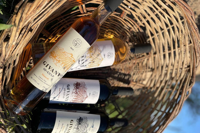 لوسارات: جولة في مصنع النبيذ جيڤاني وتجربة تذوق النبيذ