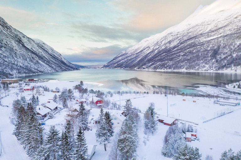 Desde Kiruna Excursión de un día a la ciudad y el fiordo de Narvik