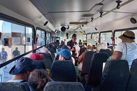 Cape Town: Table Mountain, Robben Island, & Dinner Tour