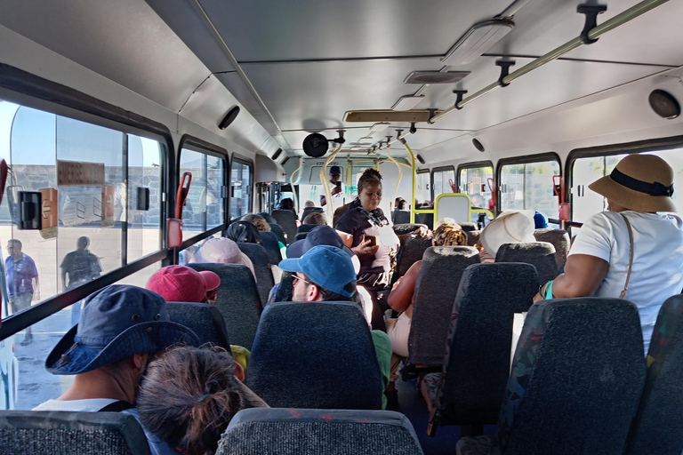 Cape Town: Table Mountain, Robben Island, & Dinner Tour