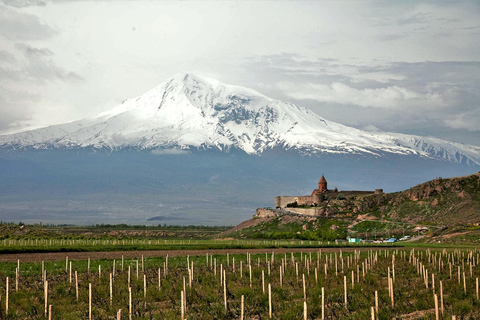 Monastères de Khor virap et Noravank, dégustation de vins dans les vignobles