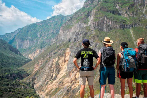 Dagvullende tour Colca Canyon met ontbijt Promotieprijs