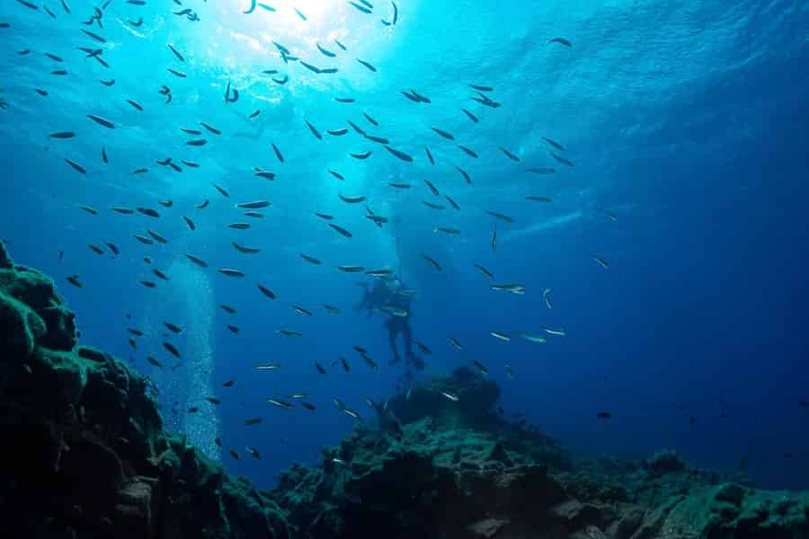 Azoren: Doppelter Tauchgang auf der Insel Santa Maria – Azoren
