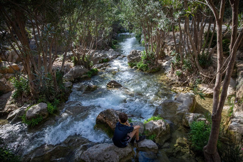 Vanuit Alicante en Benidorm: Bezoek aan Fuente de Algar (vervoer inbegrepen)