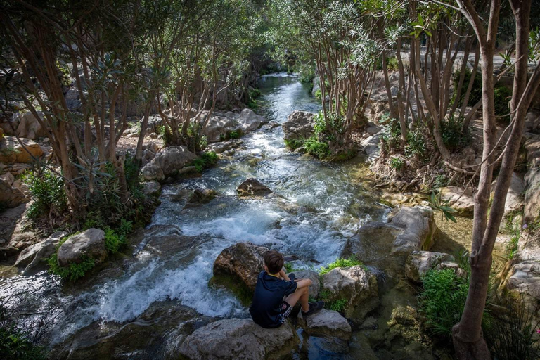 Depuis Alicante et Benidorm : visite de Fuente de Algar (transport inclus)