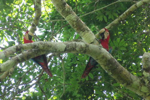 LA PAZ: WYCIECZKA 3 DNI 2 NOCE RURRENABAQUE_MADIDI SELVA