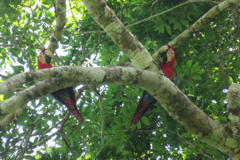 LA PAZ: WYCIECZKA 3 DNI 2 NOCE RURRENABAQUE_MADIDI SELVA