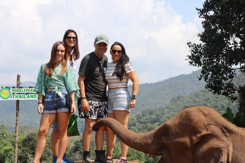 Chiang Mai 2-Day: Good Morning Elephant & Overnight Homestay