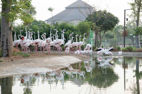 Dubai: Inträdesbiljett till Dubai Safari ParkSafari Park Pass