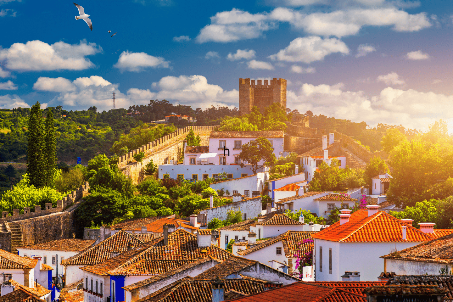 From Lisbon: Fátima, Óbidos, and Nazaré Small Group Day Tour