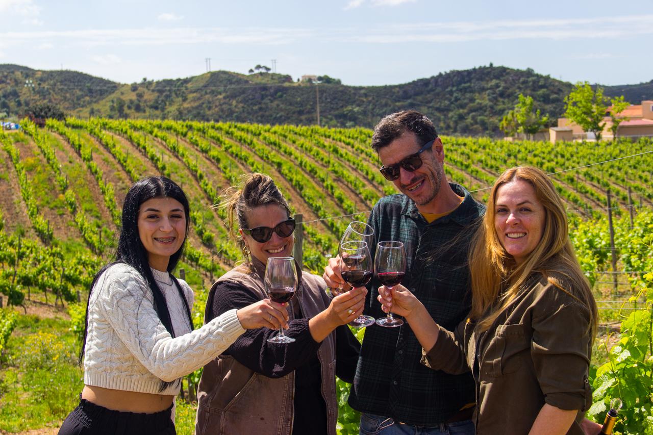 Von Albufeira: Weinprobe & historische Silves-Tour