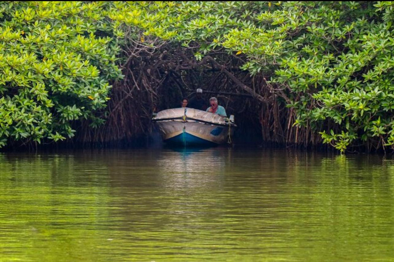 ️ Smooth Ride: Colombo Airport to South Coast Highlights ✨