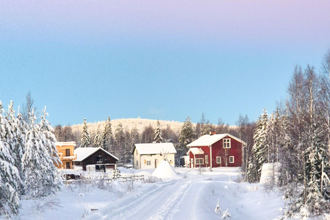 Rovaniemi: Horseback Ride & Lappish Lunch at Ranch