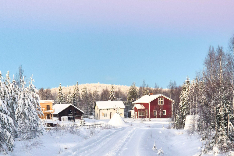 Rovaniemi: Horseback Ride & Lappish Lunch at Ranch