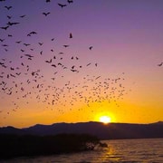 Flying Fox Sunset Cruise: Private Boat Charter in Labuan Bajo