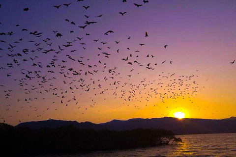 Flying Fox Sunset Cruise Private Boat Charter Labuan Bajo