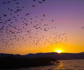 Flying Fox Sunset Cruise Private Boat Charter Labuan Bajo