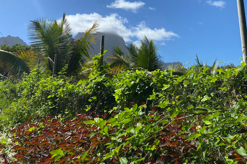 Santiago: Visit the largest banana and coconut plantation & botanical garden From the Beach: Visit a Banana and Coconut Plantation & Botanical Garden with Tastings