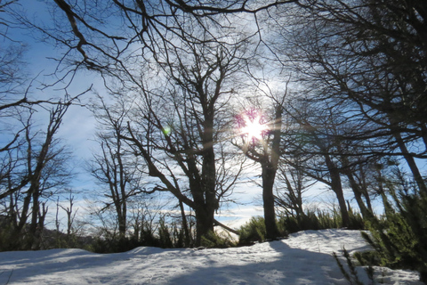 San Martín de los Andes: Private 4x4 Snow Forest Tour