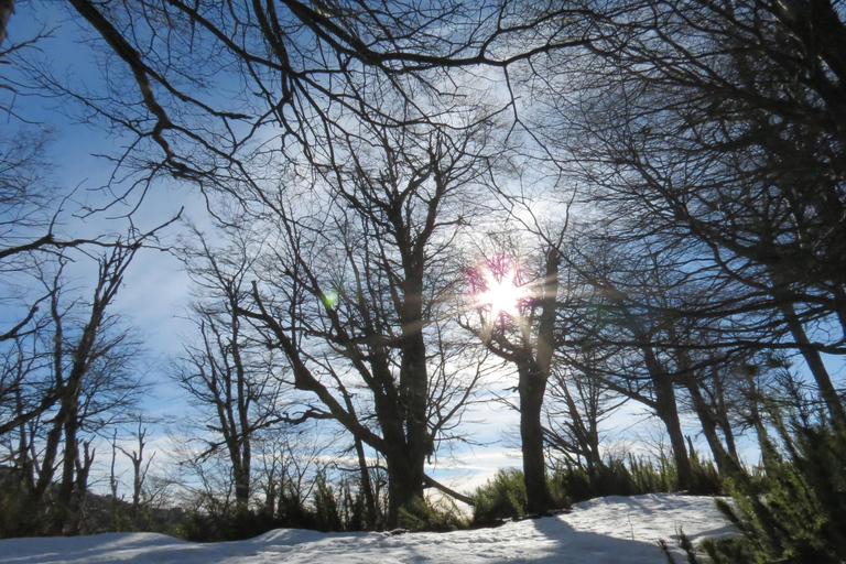 San Martín de los Andes: Private 4x4 Snow Forest Tour