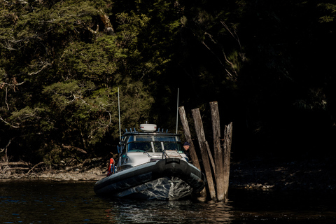 South Fiord, Fiordland: Waterfall Adventure