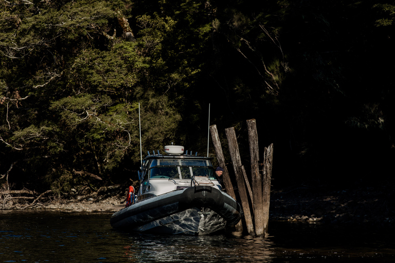South Fiord, Fiordland: Waterfall Adventure