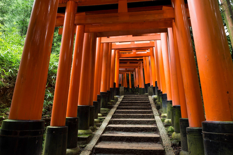 Kioto: Kiyomizu-dera y Fushimi Inari: tour de medio día