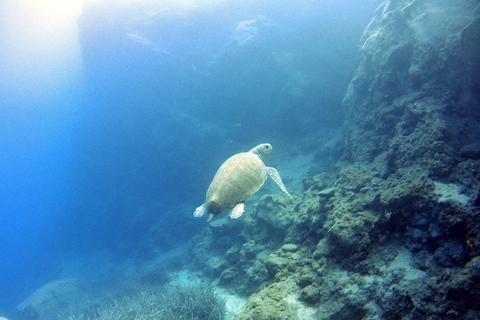 Scuba Diving in the Volcanic Caldera/shorelines of Santorini