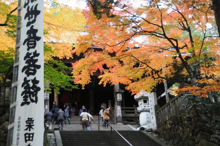 From Nagoya: Kegonji Temple, Yoro Park & Kiyosu Castle Tour