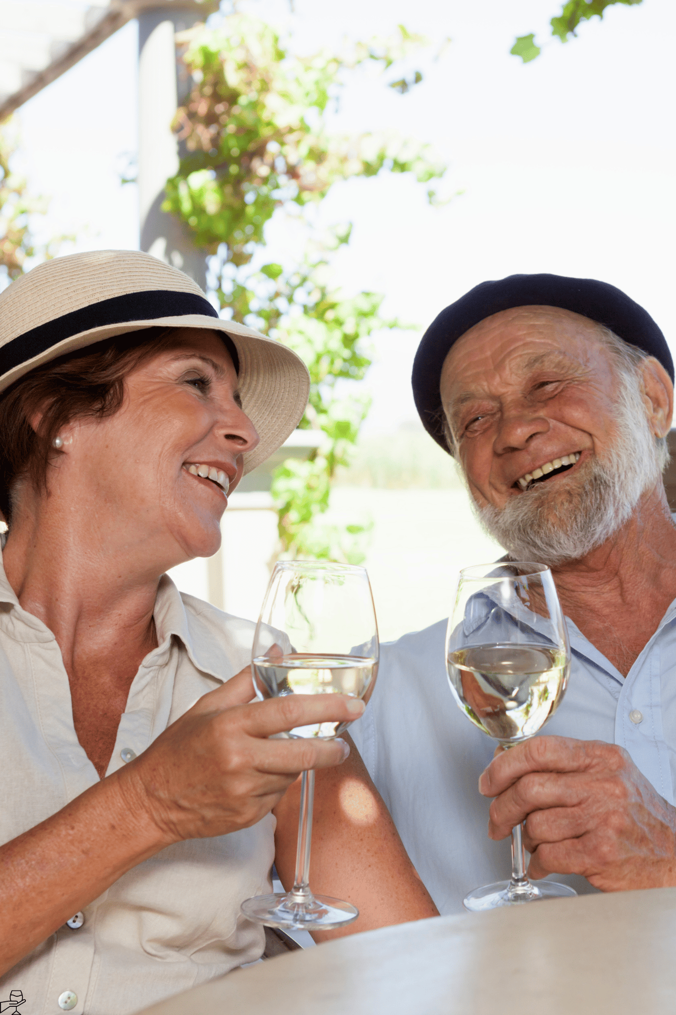 Besuch der Weinberge von Bandol und Côtes de Provence + Mittagessen