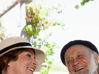 Tour of the Bandol and Côtes de Provence vineyards + Lunch
