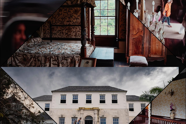 Swamp Safari and Rose Hall Great House Day Tour From Falmouth/ Trelawny