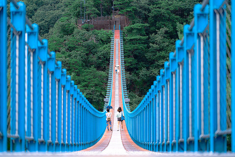 From Seoul: Wonju Nature Day Trip, Ginkgo Tree & Cable Car A. [Spring] Sogeumsan Cable Car & Cherry Blossom Tunnel Tour