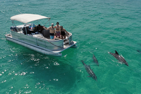 Cocoa Beach: Dolphin & Manatee Small Group Eco Boat Tour