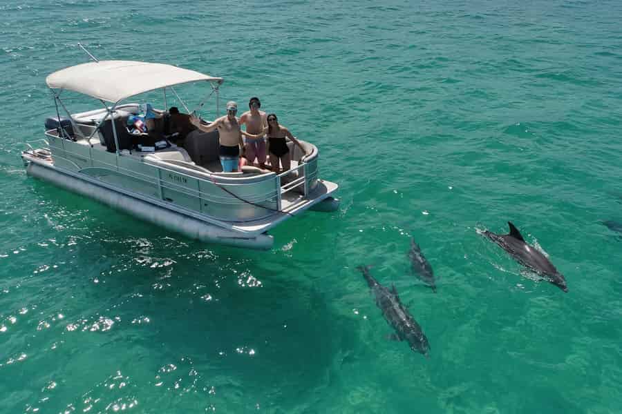 Cocoa Beach: Öko-Bootstour mit Delfinen & Seekühen in kleiner Gruppe. Foto: GetYourGuide