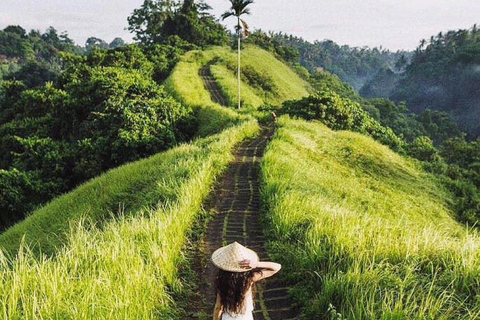 Ubud: Temple, Waterfall, Rice Terrace, Ubud Market & Palace Without entry tickets