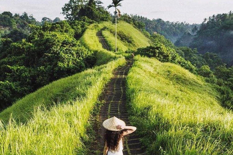 Ubud: Temple, Waterfall, Rice Terrace, Ubud Market & Palace Without entry tickets