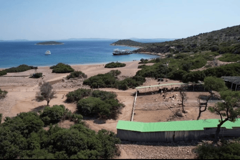 Au départ d&#039;Izmir : Excursion en bateau d&#039;une journée autour de Cesme avec déjeuner barbecue