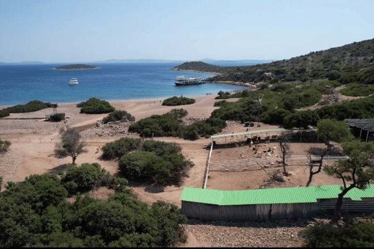 Von Izmir aus: Ganztägige Bootstour um Cesme mit BBQ-Mittagessen