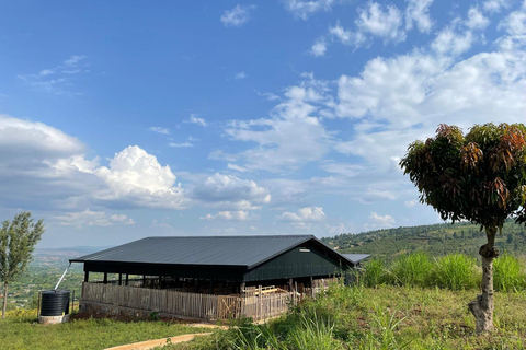 Kigali: La Fromagerie Farm Tour with Cheese Tasting