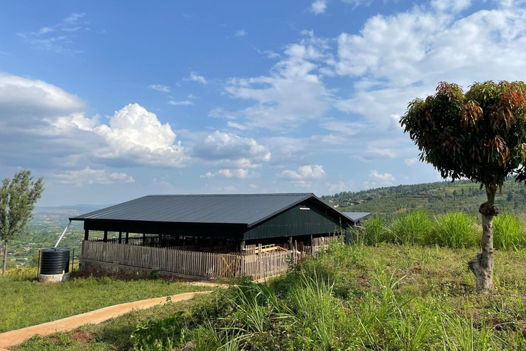 Kigali: La Fromagerie Farm Tour with Cheese Tasting