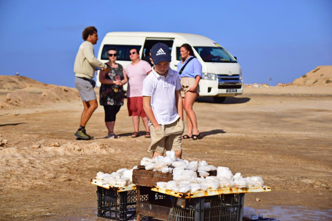 Snorkel, excursión a la isla, excursión a las tortugas, catamarán, pescaExcursión por la isla. Snorkel, pesca, observación de tortugas.Catamarán