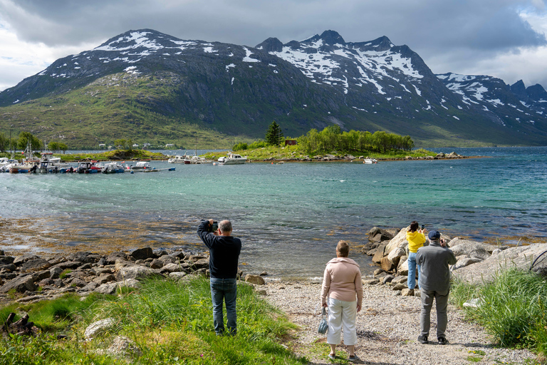 Tromsø Slow Fjords Tour - Shore Ex