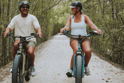 Murwillumbah: Northern Rivers Rail Trail E-Bike Adventure - Image 3