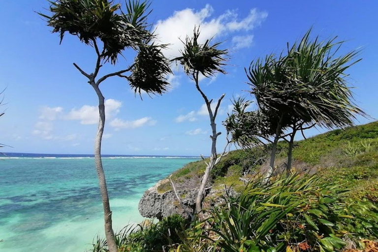 FLORESTA DO JOZANI/SANTUÁRIO DE TARTARUGAS MARINHAS/PRAIA DE MTENDEFLORESTA DE JOZANI/SANTUÁRIO DE TARTARUGAS MARINHAS/PRAIA DE MTENDE